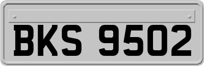 BKS9502