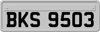 BKS9503