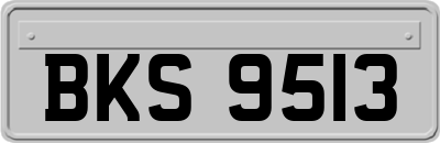BKS9513