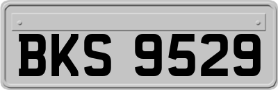 BKS9529