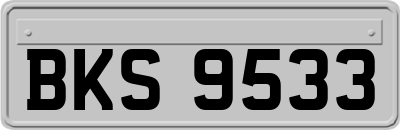 BKS9533
