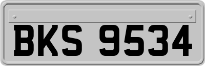 BKS9534