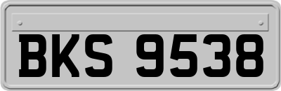 BKS9538