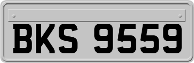 BKS9559