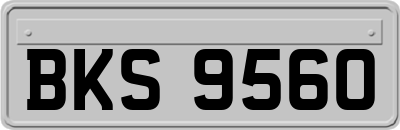 BKS9560