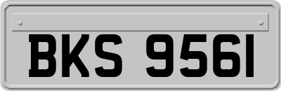 BKS9561