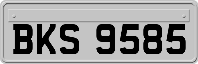 BKS9585