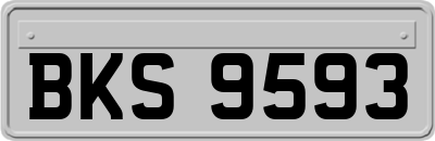 BKS9593
