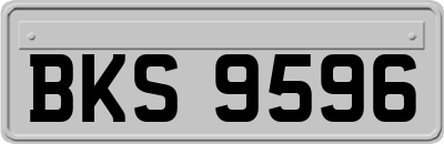 BKS9596