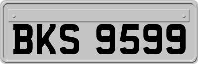 BKS9599