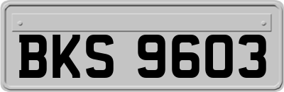 BKS9603