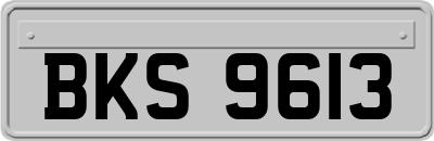 BKS9613