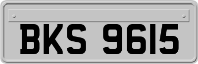 BKS9615