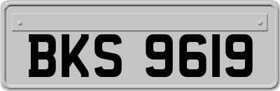 BKS9619