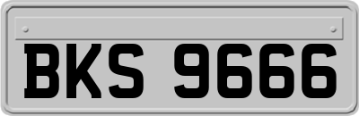 BKS9666