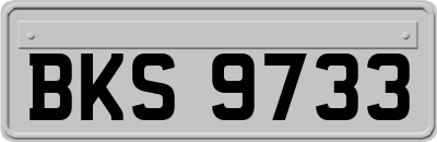 BKS9733