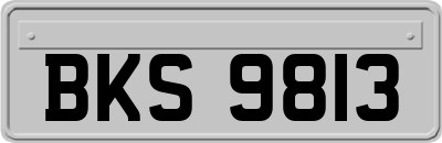 BKS9813