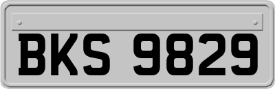 BKS9829