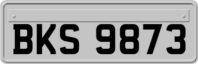 BKS9873