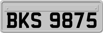 BKS9875