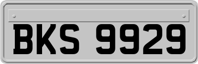 BKS9929