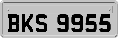 BKS9955