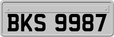 BKS9987