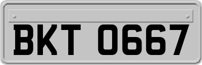 BKT0667