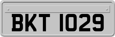 BKT1029