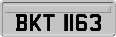 BKT1163