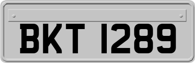 BKT1289