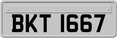 BKT1667