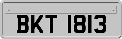 BKT1813