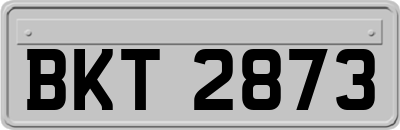 BKT2873