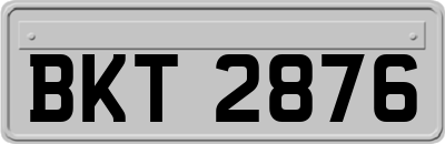 BKT2876