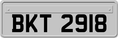 BKT2918