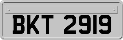 BKT2919