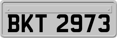 BKT2973