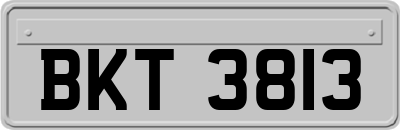 BKT3813