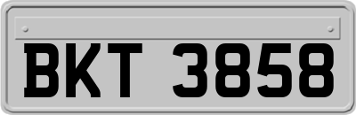 BKT3858