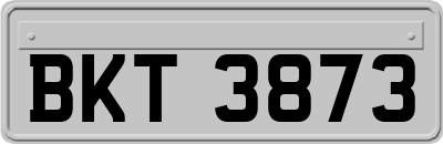 BKT3873