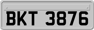 BKT3876