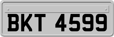 BKT4599