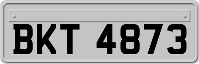 BKT4873