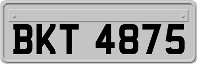 BKT4875