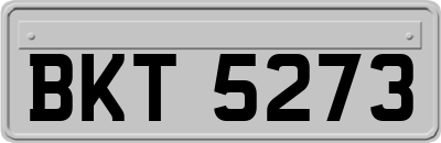 BKT5273