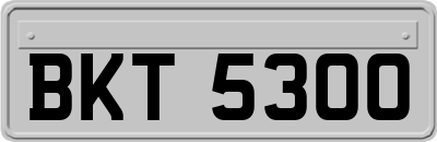 BKT5300
