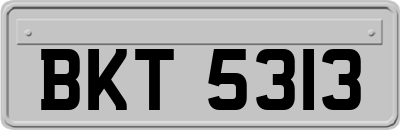 BKT5313