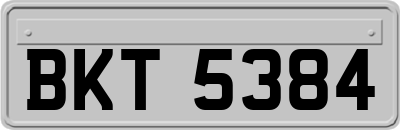 BKT5384