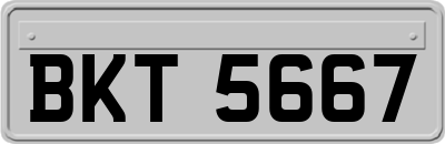 BKT5667